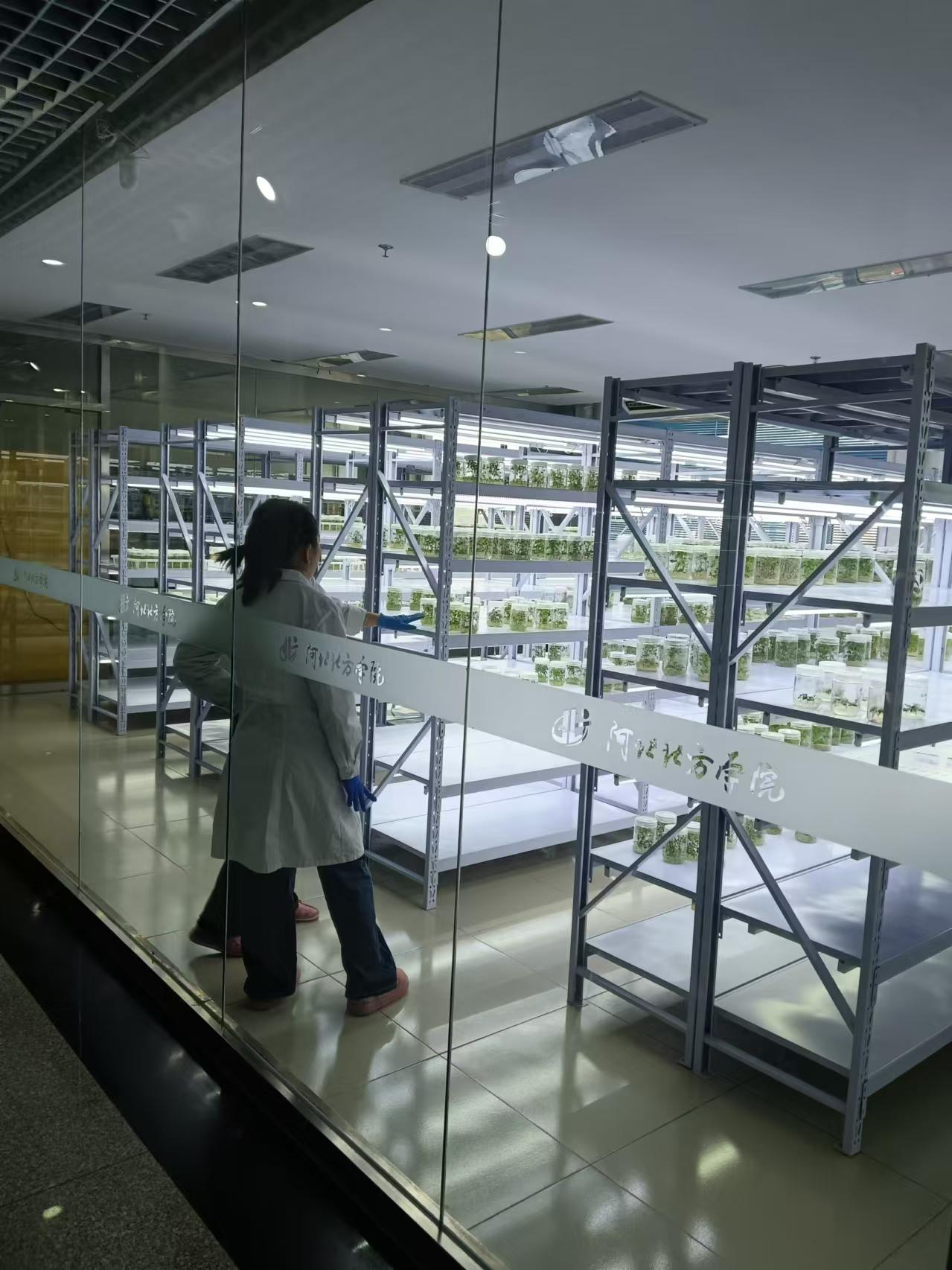 辽宁植物组培室设计的基本布局有哪些?